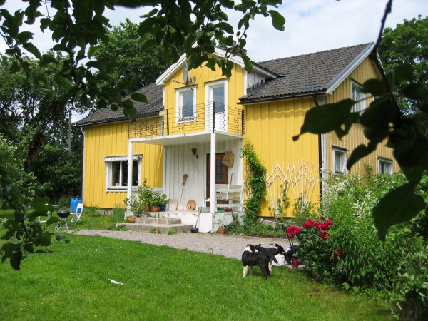Tängbo gård i nordvästra Uppland Lantbruksgården som har lammskinn lammkött ull honung