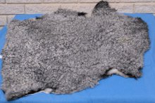 Grey skin, top of line quality, curled